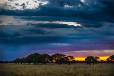 Pampa manzara günbatımı zaman, Arjantin