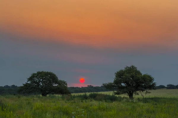 Paisaje Pampeano Atardecer Argentina — Foto de Stock