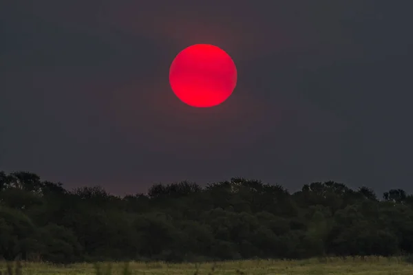 Pampas Landschap Zonsondergang Tijd Argentinië — Stockfoto