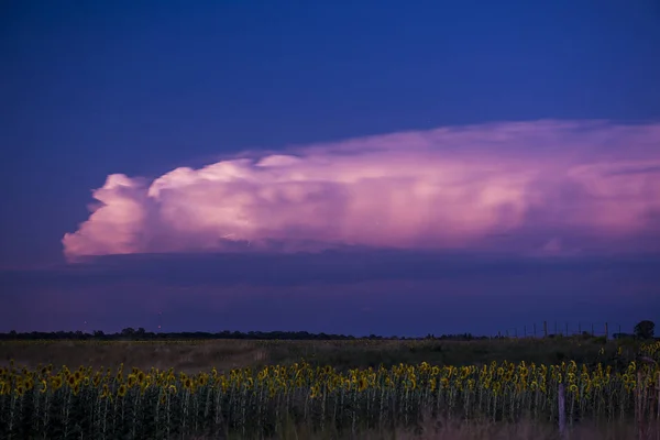 Pampas landscape with thunder storm, Argentina