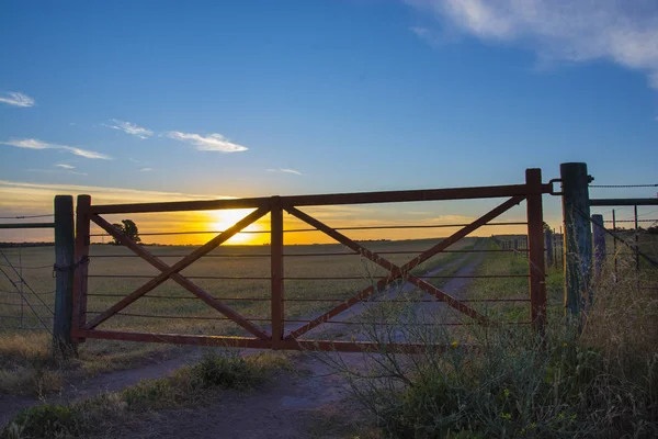 Pampas Krajobraz Czasie Zachodu Słońca Argentyna — Zdjęcie stockowe