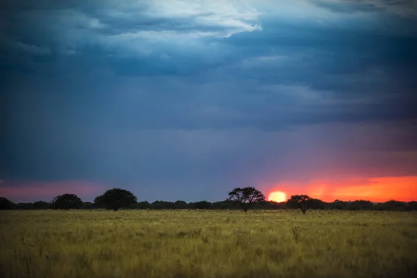 Pampaslandschaft Bei Sonnenuntergang Argentinien — Stockfoto