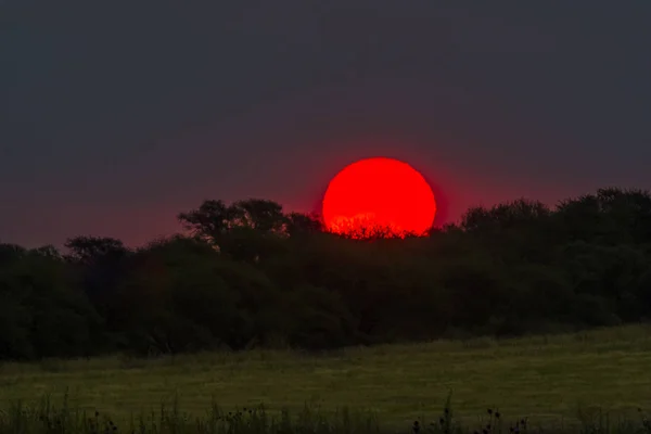 Pampas Paisagem Pôr Sol Argentina — Fotografia de Stock