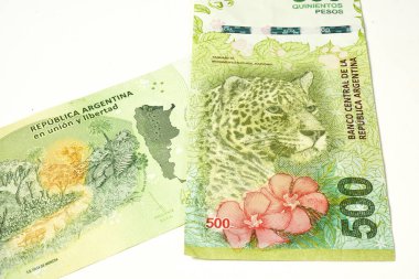 Arjantin'in yeni beş yüz banknot