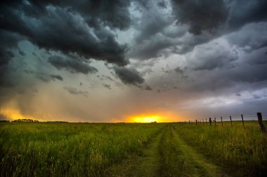 Pampa ile doğal peyzaj, La Pampa, Argentina