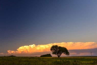 Pampa manzara günbatımı zaman, Arjantin