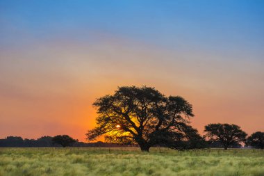 Pampa manzara günbatımı zaman, Arjantin