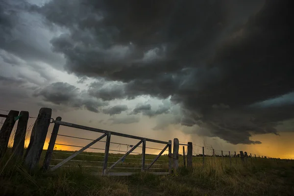 Cattle Gate Pampas Region Argentina — Stock Photo, Image