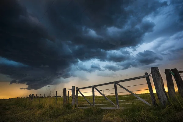 Cattle Gate Pampas Region Argentina — Stock Photo, Image