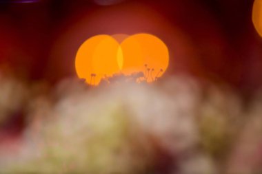 Bokeh düğün partisinde.