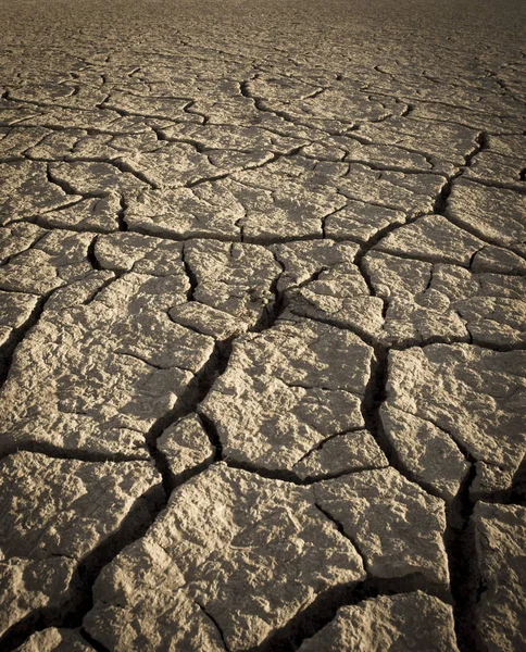 Cracked Dry Soil Background — Stock Photo, Image