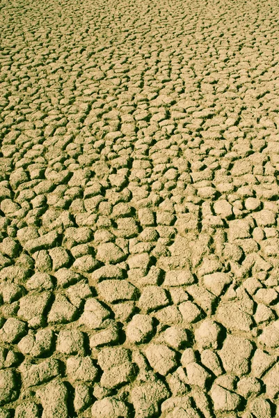 Tierra Seca Agrietada Como Fondo —  Fotos de Stock