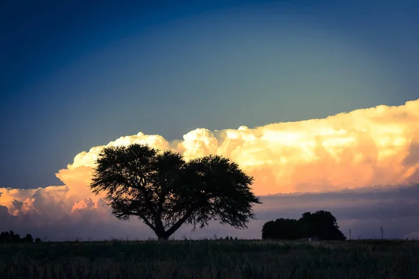 Paysage Pampa Coucher Soleil Argentine — Photo