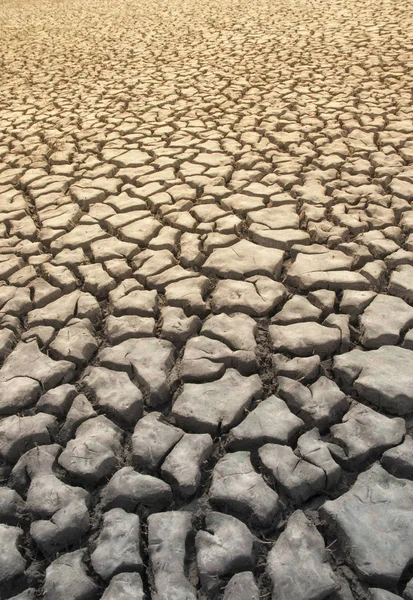 Tierra Seca Agrietada Como Fondo —  Fotos de Stock