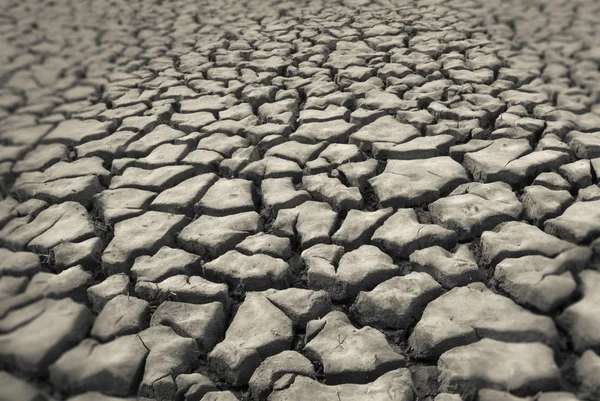 Gebarsten Droge Bodem Als Achtergrond — Stockfoto