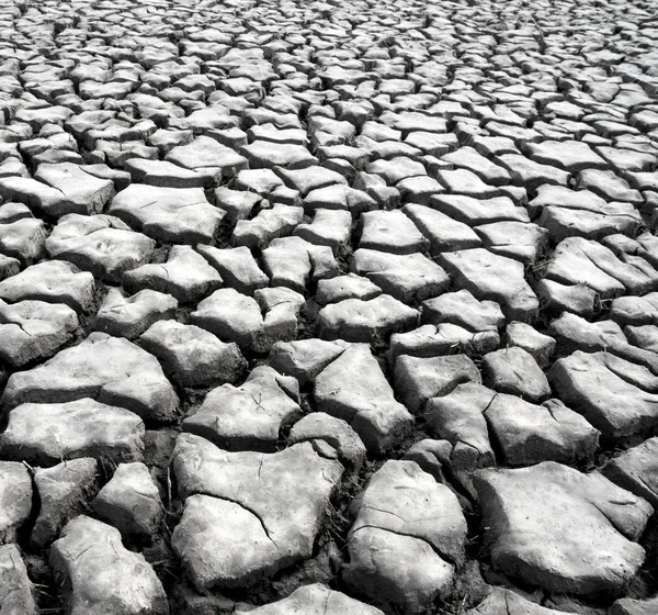 Gebarsten Droge Bodem Als Achtergrond — Stockfoto