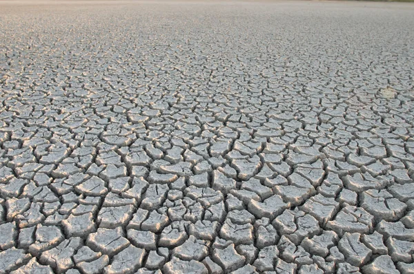 Tierra Seca Agrietada Como Fondo —  Fotos de Stock