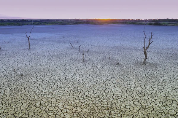 Трещины Сухой Почвы Качестве Фона — стоковое фото