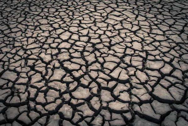 Tierra Seca Agrietada Como Fondo — Foto de Stock