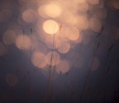 Shine su bokeh arka plan