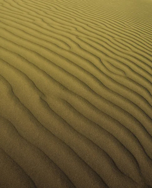 Paisaje Duna Pampa Argentina — Foto de Stock