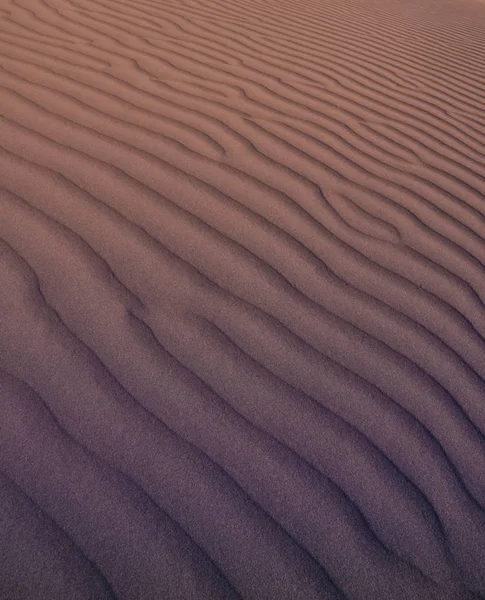 Dune Landskap Pampa Argentina — Stockfoto