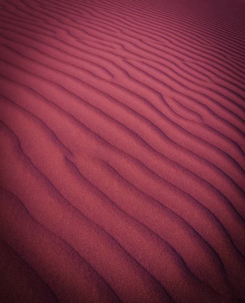 Dune Landscape Pampa Argentina — стоковое фото