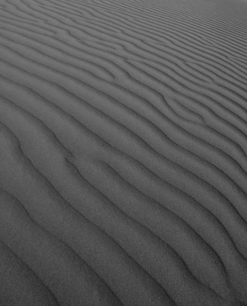 砂丘風景 パンパ アルゼンチン — ストック写真