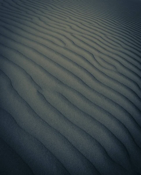 Dune Landscape Pampa Argentina — стоковое фото