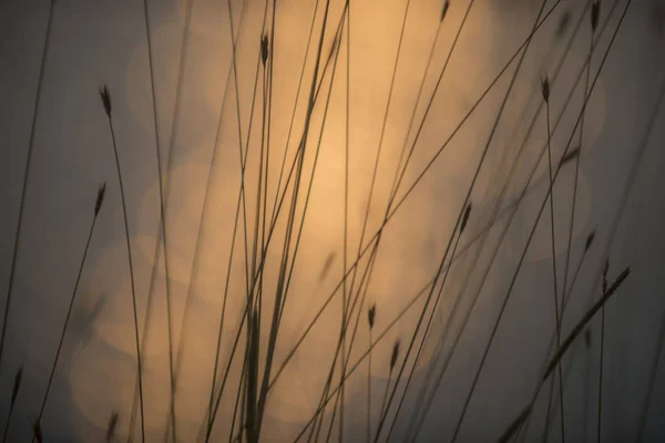 Strălucire Fundal Bokeh Apă — Fotografie, imagine de stoc