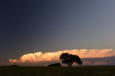 Pampa manzara Patagonia, Arjantin 