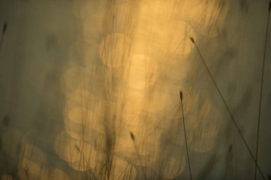 Shine su bokeh arka plan