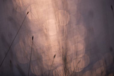 Shine su bokeh arka plan