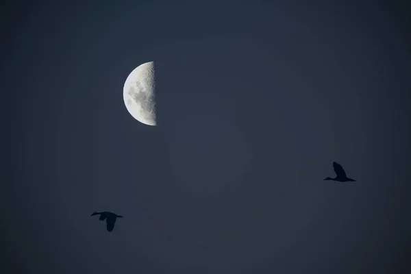 Abstract Moon Sky Background — Stock Photo, Image