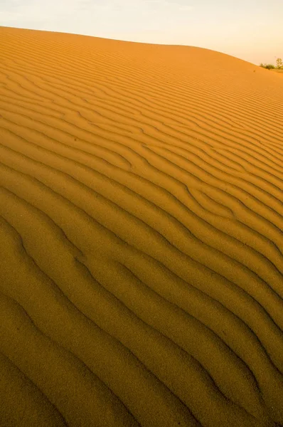 Paesaggio Delle Dune Pampa Argentina — Foto Stock