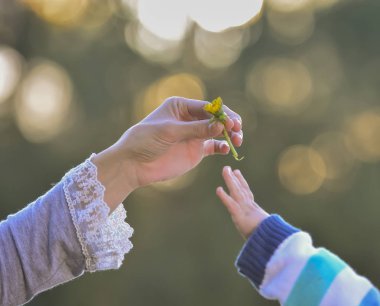 El veren bir çiçek, Anne ve oğlu