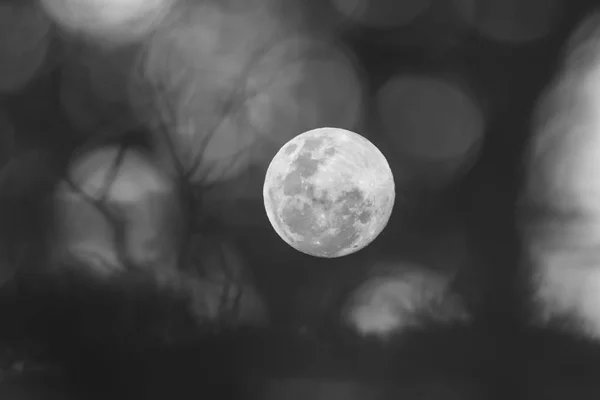 Pleine Lune Éclipse Partir Pampa — Photo