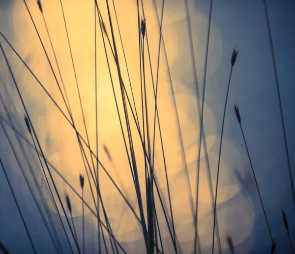 Strălucire Fundal Bokeh Apă — Fotografie, imagine de stoc