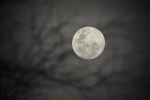 Full moon, eclipse seen from, La Pampa