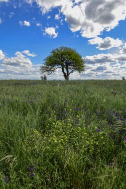 Renkli manzara, Pampa, Argentina