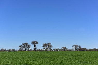 Renkli manzara, Pampa, Argentina