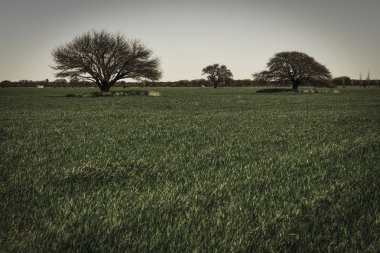 Renkli manzara, Pampa, Argentina