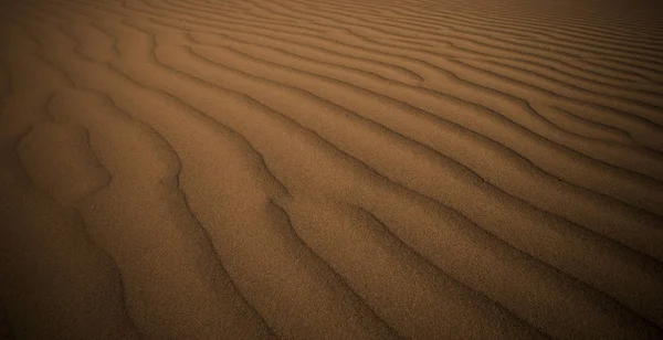 Dünen Landschaft Der Pampa Argentinien — Stockfoto