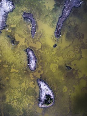 Kuşlar, doğal hava görünümünü sürüsü
