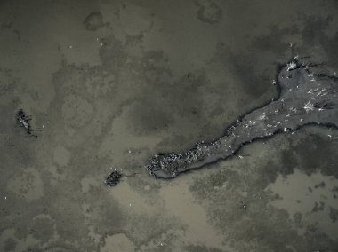 Kuşlar, doğal hava görünümünü sürüsü