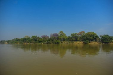 Pantanal ekosistem, Mato Grosso, Brezilya