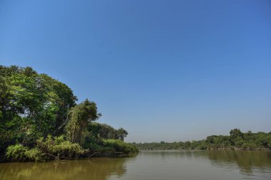 Pantanal orman ekosistemi, Mato Grosso, Brezilya