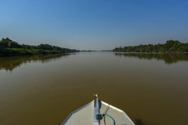 Pantanal orman ekosistemi, Mato Grosso, Brezilya