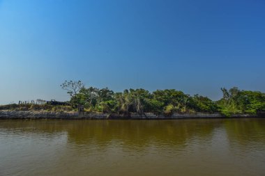 Pantanal orman ekosistemi, Mato Grosso, Brezilya