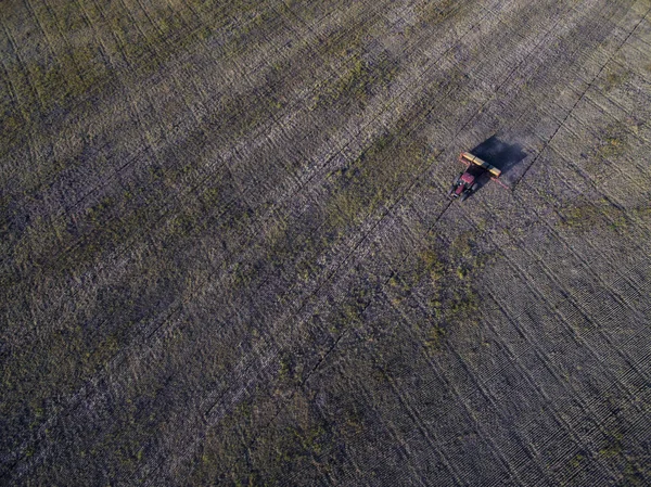 Direct seeding, agricultural machinery, in La Pampa, patagonia